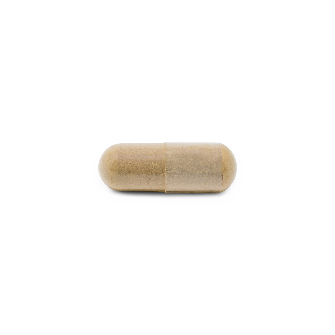 Burdock Root