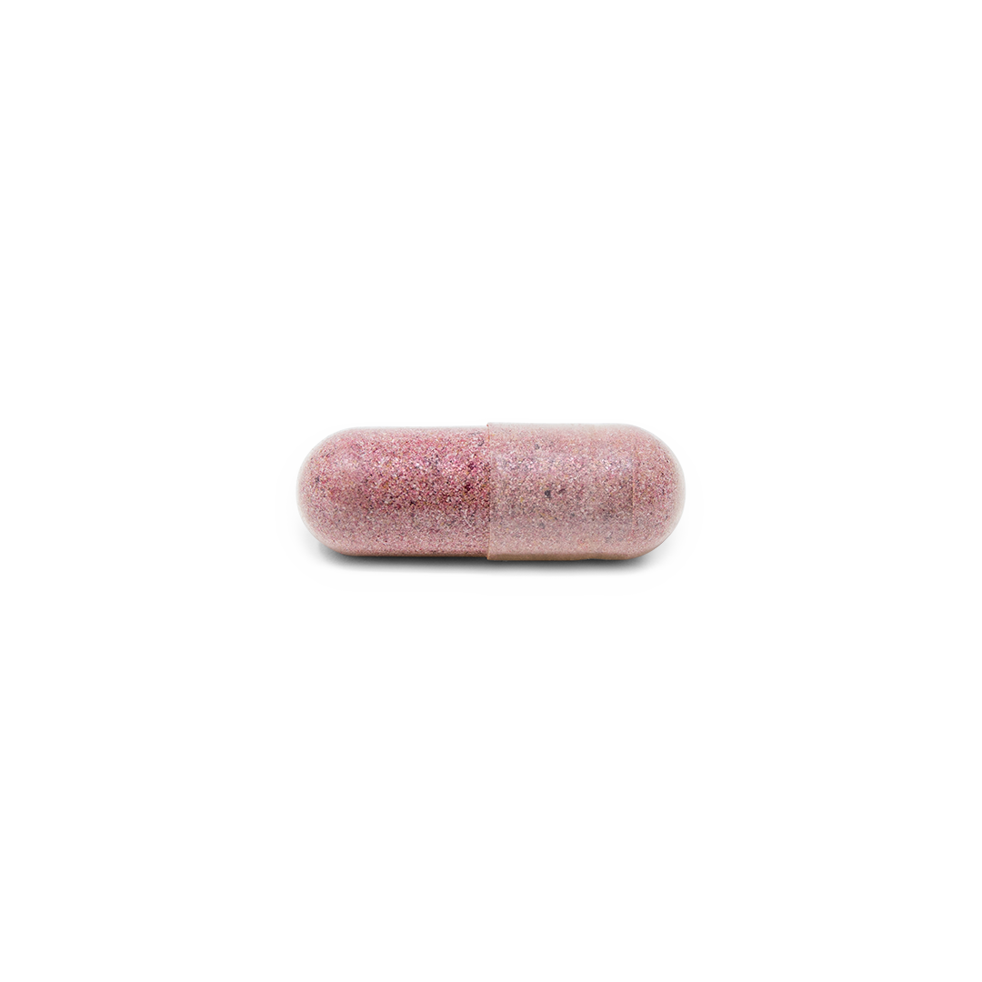 Grape Seed Extract